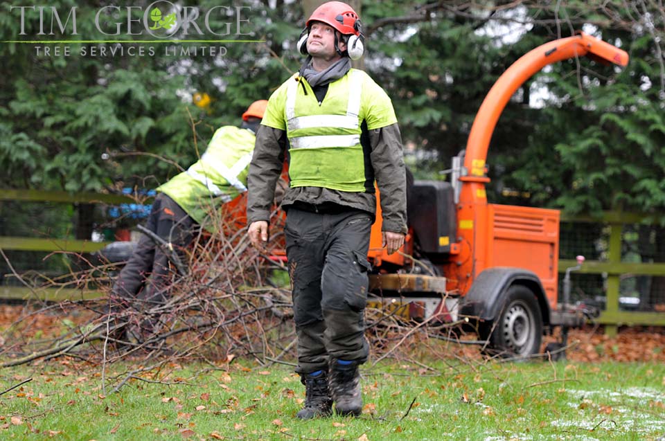 Tim George Tree Services Ltd - Surrey